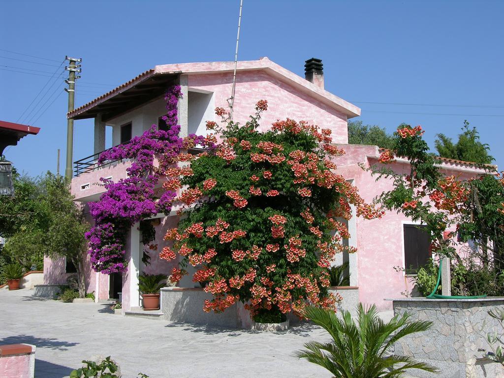 Antico Casolare Sorso-Tourist Rental Quarto foto